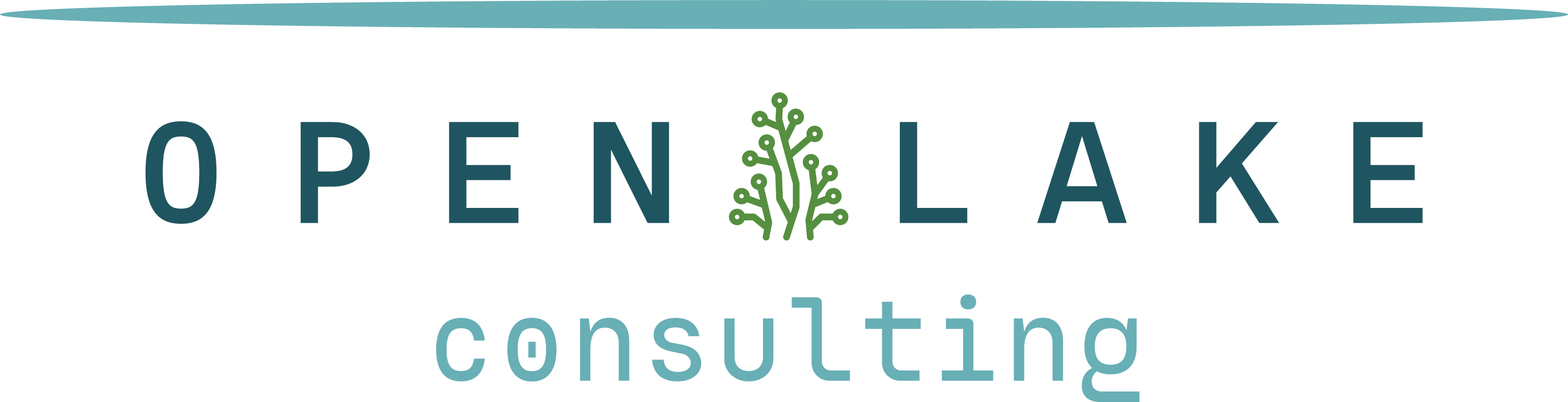 Open Lake Consulting